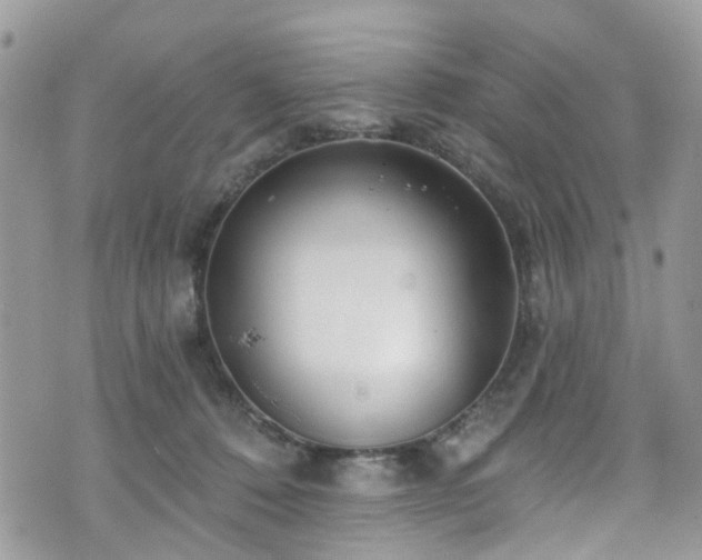 X0000070880320200606191322