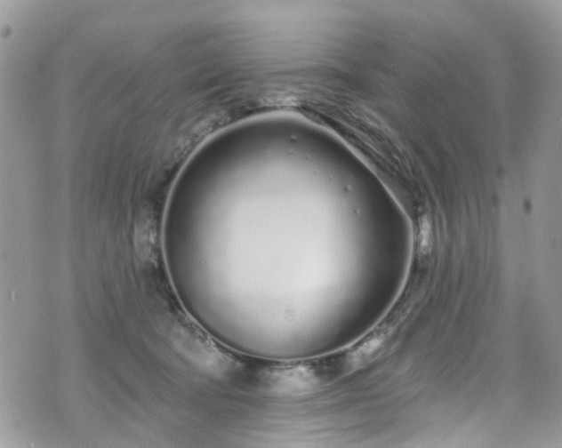 X0000070880322200606191322