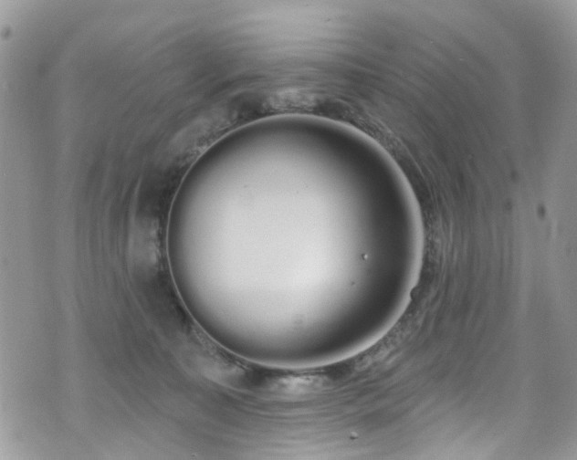 X0000070880323200606191322