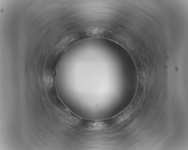 X0000070880324200606191321