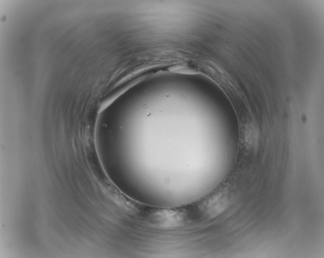 X0000070880326200606191321