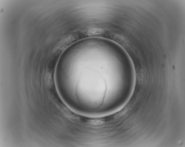 X0000070880327200606191321