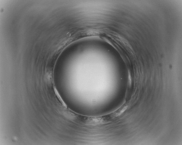 X0000070880329200606191321