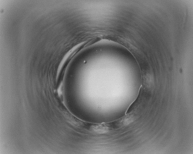 X0000070880331200606191321