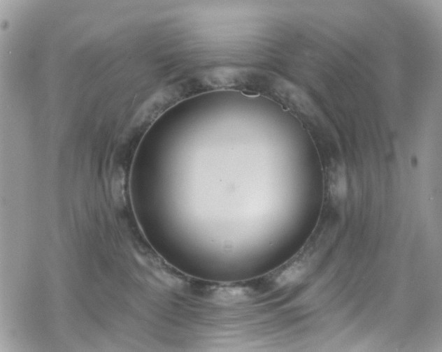 X0000070880332200606191321