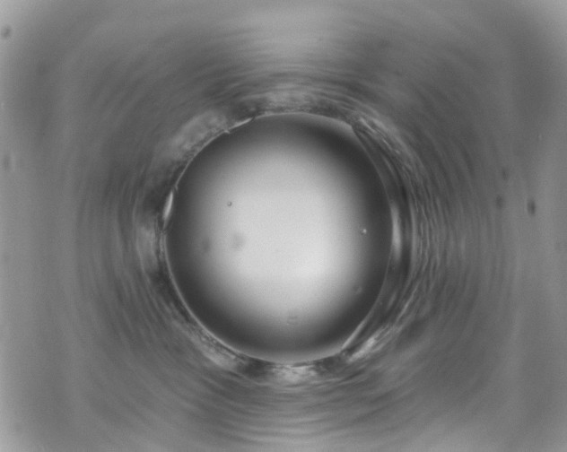 X0000070880333200606191321