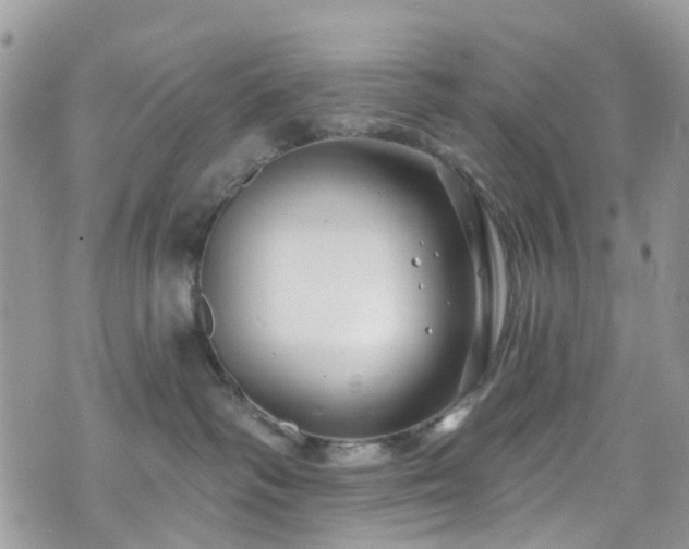 X0000070880334200606191321