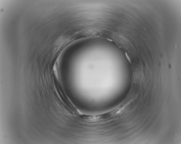 X0000070880335200606191321