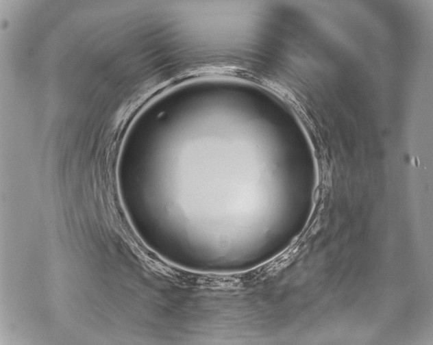 X0000070880337200606191320