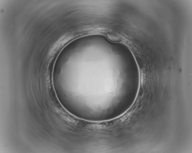 X0000070880339200606191321