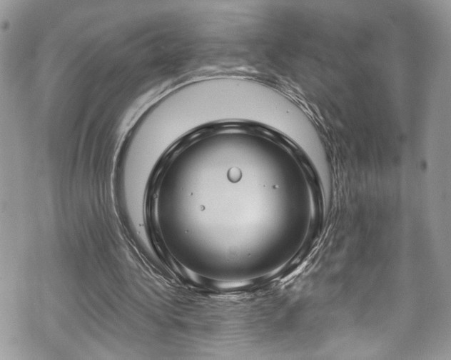 X0000070880340200606191321