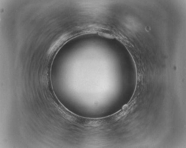 X0000070880341200606191321