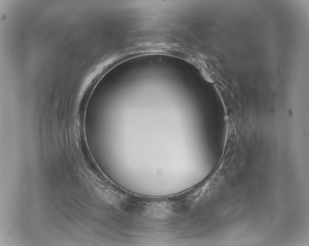 X0000070880342200606191321