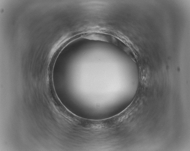 X0000070880344200606191321