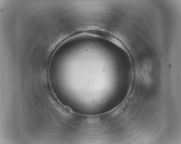 X0000070880345200606191321