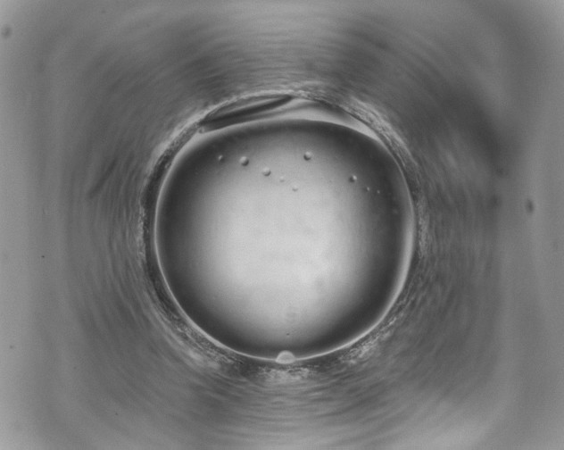 X0000070880346200606191321