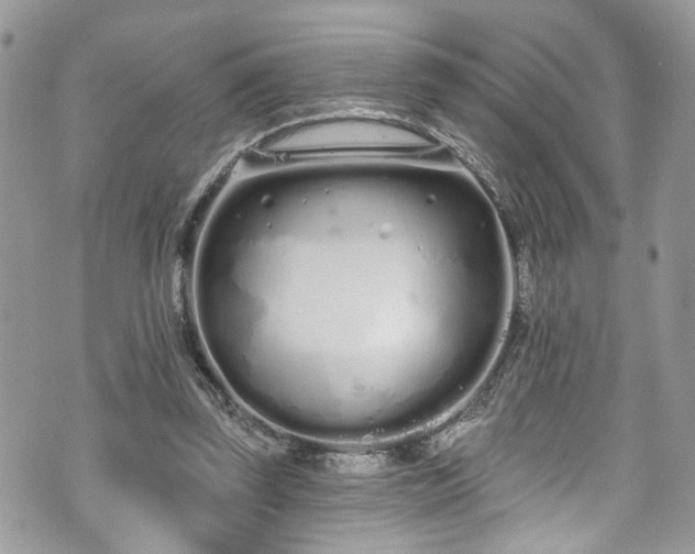 X0000070880347200606191321