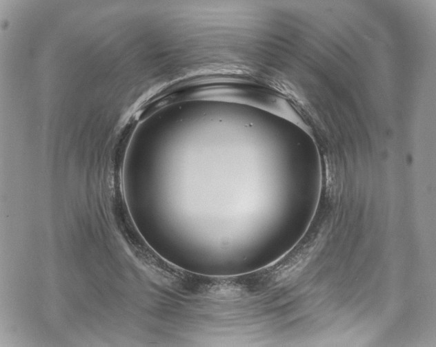 X0000070880348200606191321