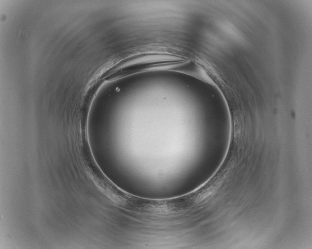 X0000070880349200606191321