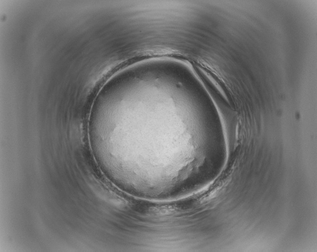 X0000070880351200606191321