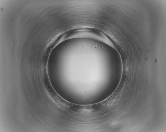 X0000070880352200606191321