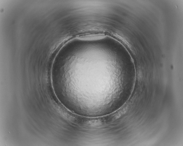 X0000070880353200606191321