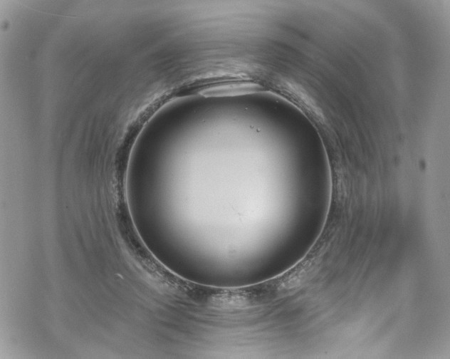 X0000070880354200606191321