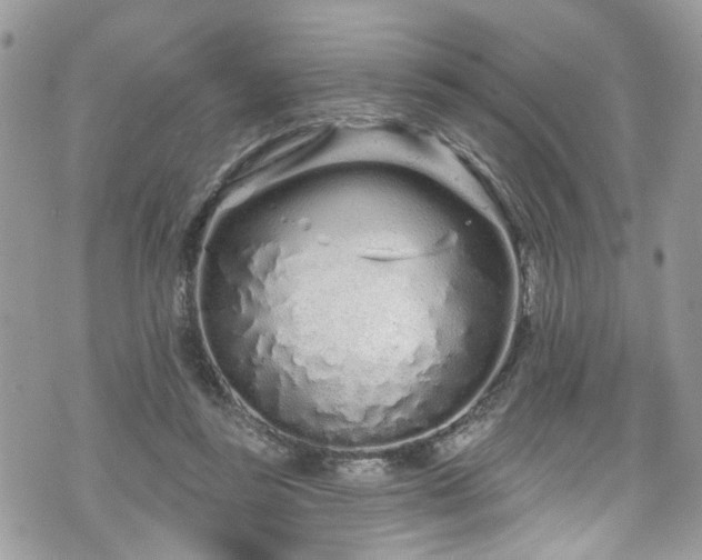 X0000070880355200606191321