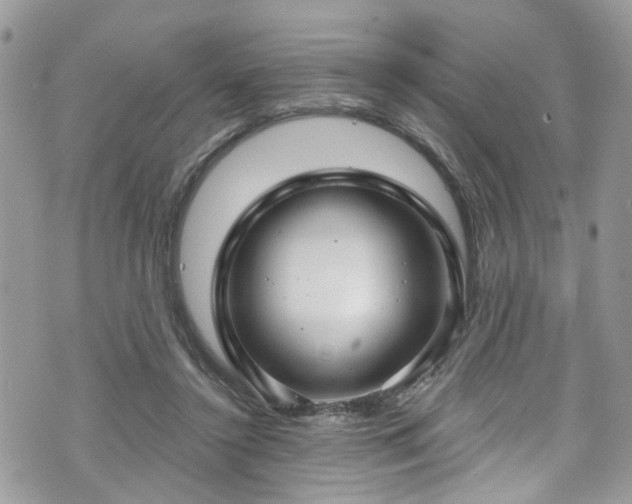 X0000070880356200606191321