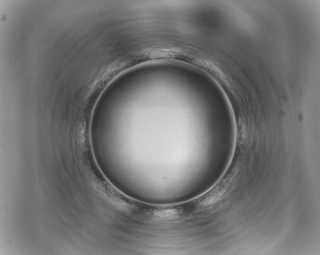 X0000070880357200606191321