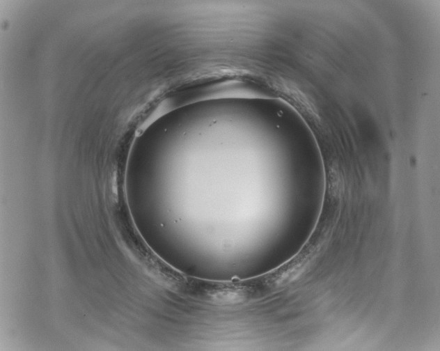 X0000070880358200606191321