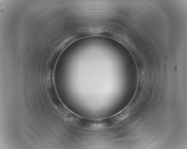 X0000070880360200606191321