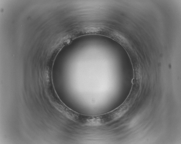 X0000070880362200606191321