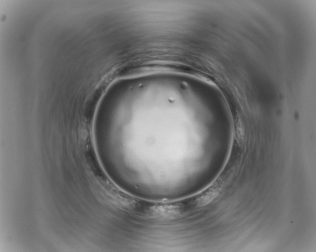 X0000070880367200606191321