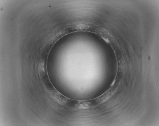 X0000070880368200606191321