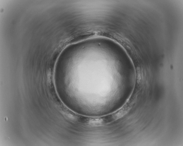 X0000070880369200606191321