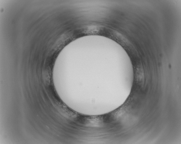 X0000070880370200606191321