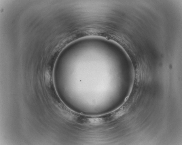 X0000070880371200606191321