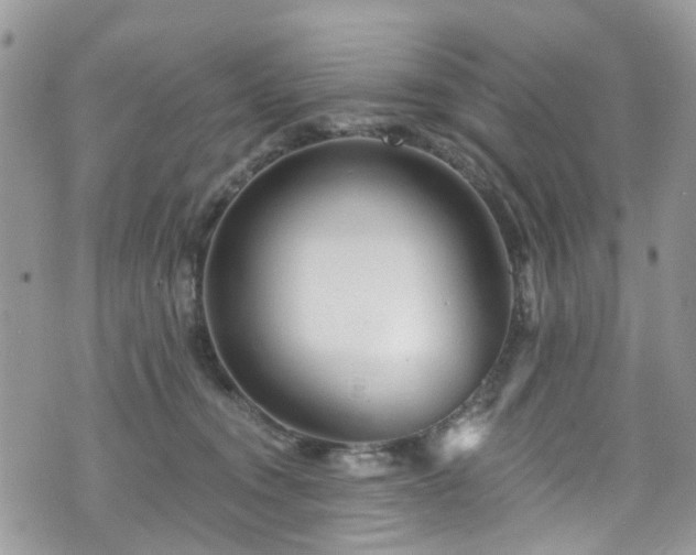 X0000070880372200606191321