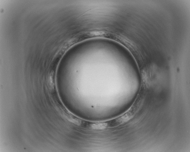 X0000070880373200606191321