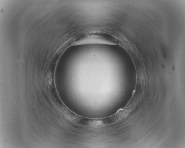 X0000070880374200606191321