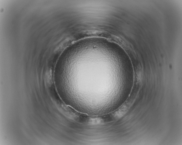 X0000070880376200606191321