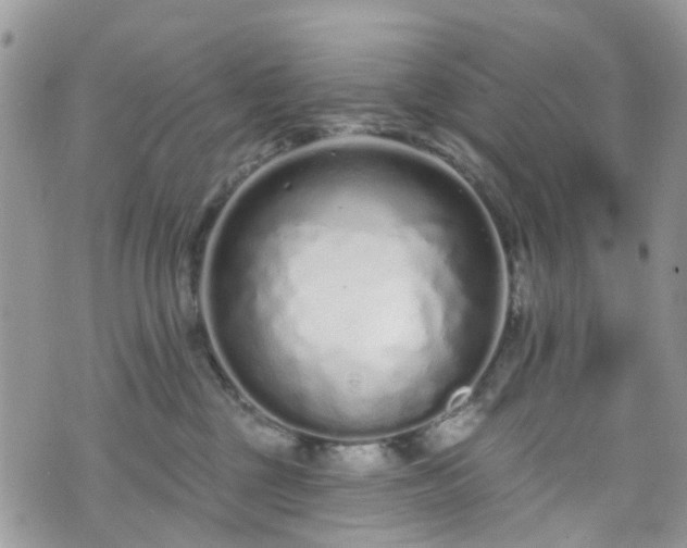 X0000070880377200606191321