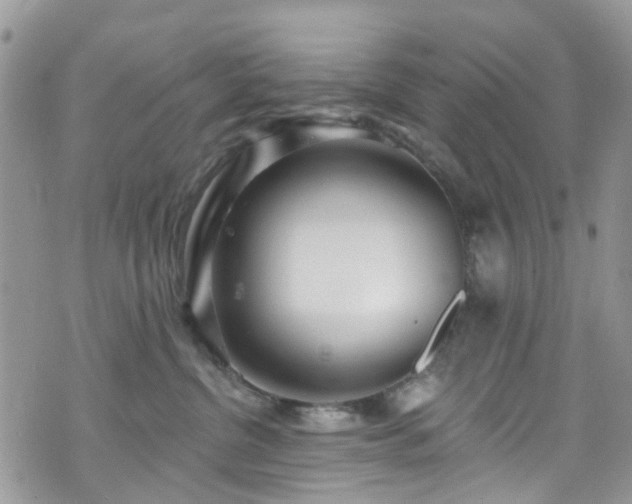 X0000070880380200606191321