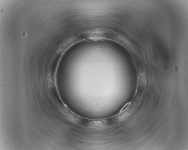 X0000070880381200606191321