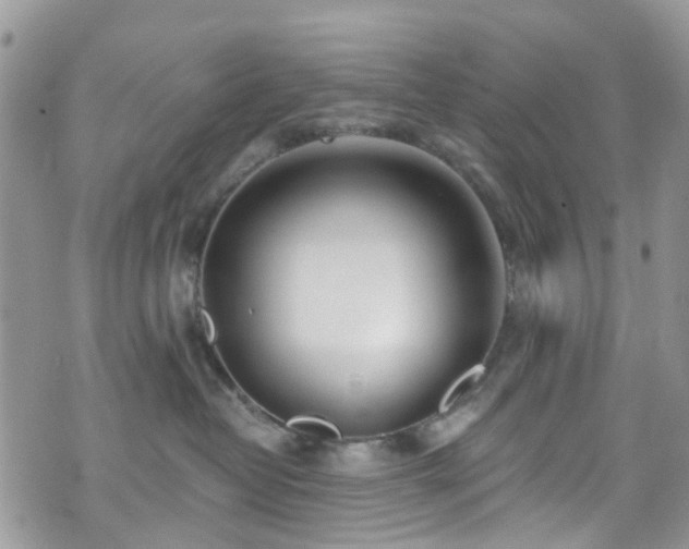 X0000070880382200606191321