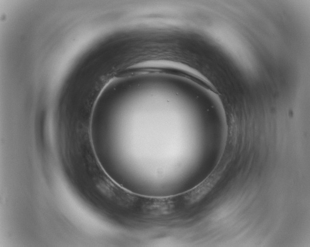 X0000070880383200606191321