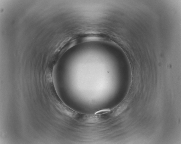 X0000070880384200606191321