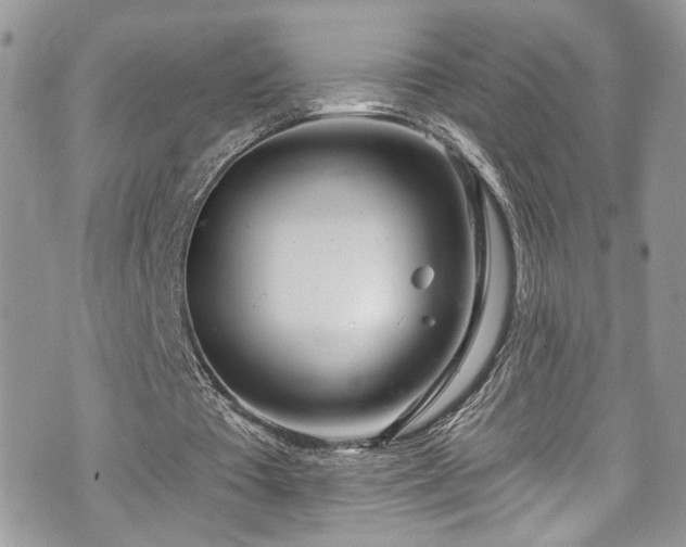 X0000070880385200606191320