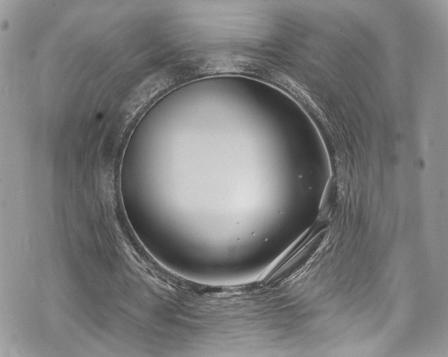 X0000070880386200606191320